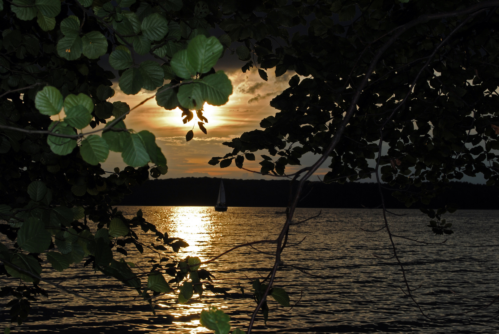 Werbellinsee am Abend