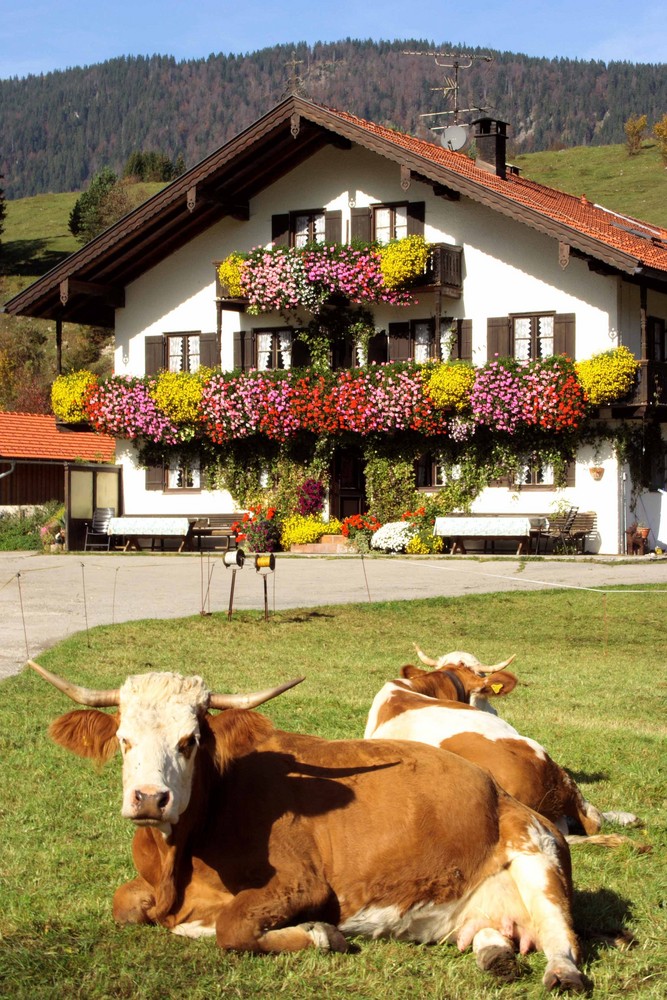 Werbung für Bayern