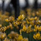 Werden und Vergehen - der Kreislauf der Natur!