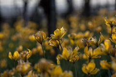 Werden und Vergehen - der Kreislauf der Natur!