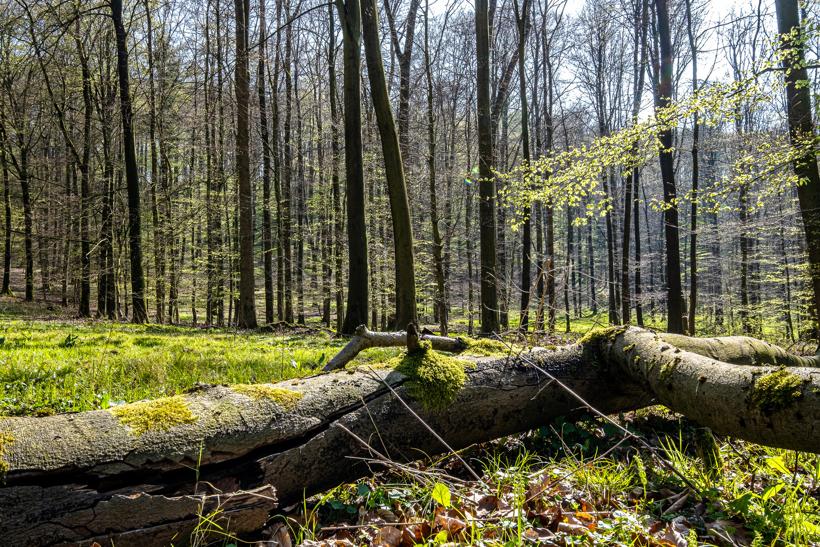 Werden und Vergehen