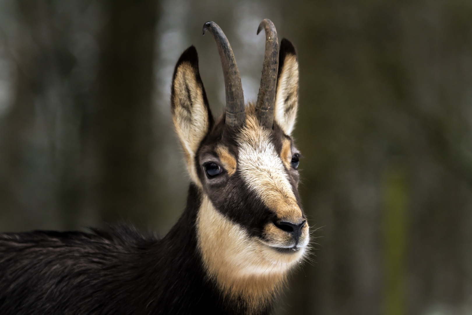 werden von uns selten fotografiert .....