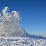 werden WinterTräume war?