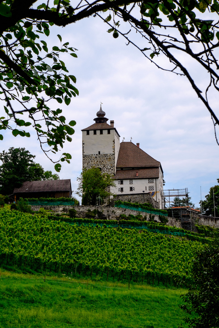 Werdenberg Castle