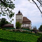 Werdenberg Castle