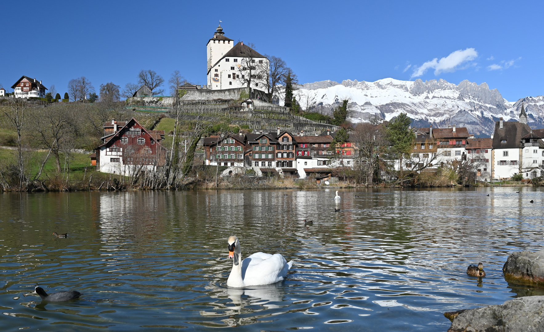 Werdenbergersee