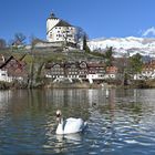 Werdenbergersee