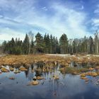 Werdensteiner Moor ..