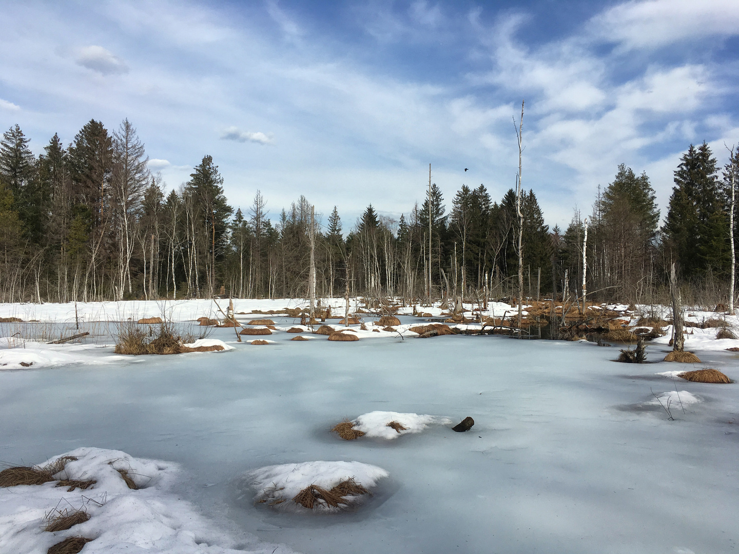 Werdensteiner Moos im Eis