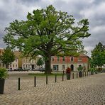 Werder Altstadt Marktplatz