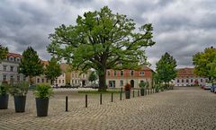 Werder Altstadt Marktplatz