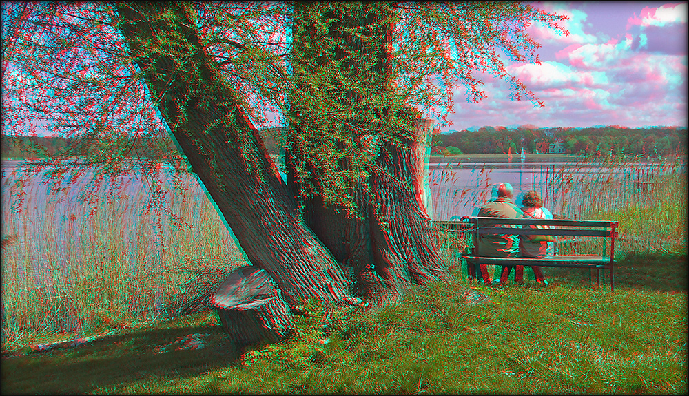 Werder an der Havel (3) 3D