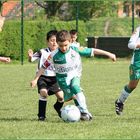 Werder Bremen gewinnt 6:0