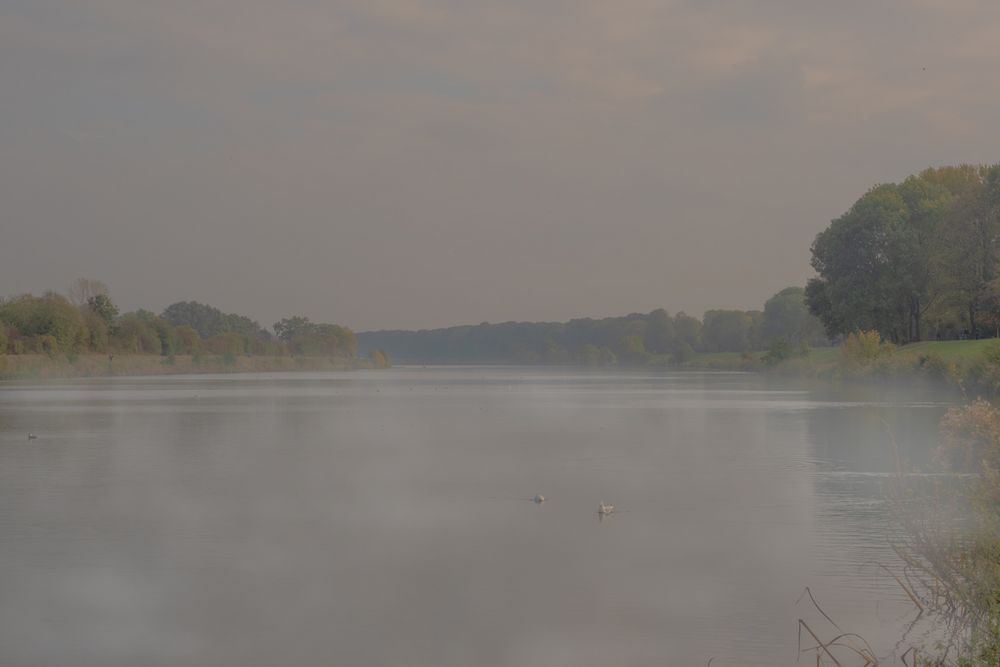 Werdersee Bremen im Nebel