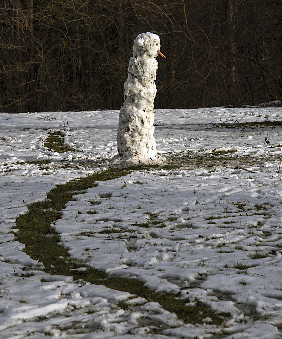 werdespur der schneegatschpuppe