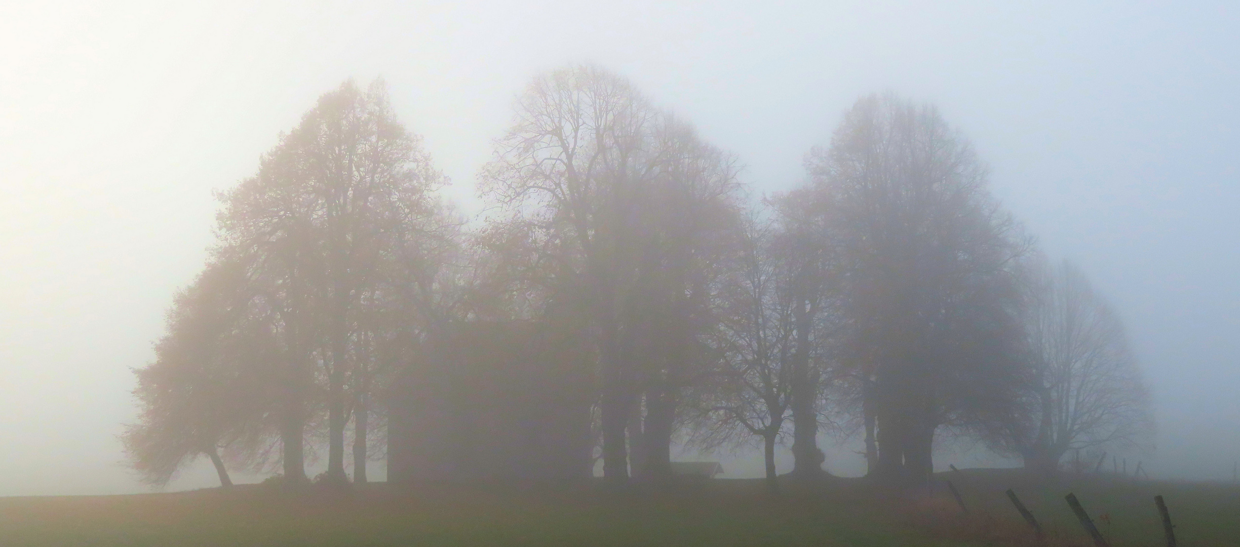 Werdigeshäuser Kirche im Nebel