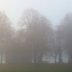 Werdigeshäuser Kirche im Nebel