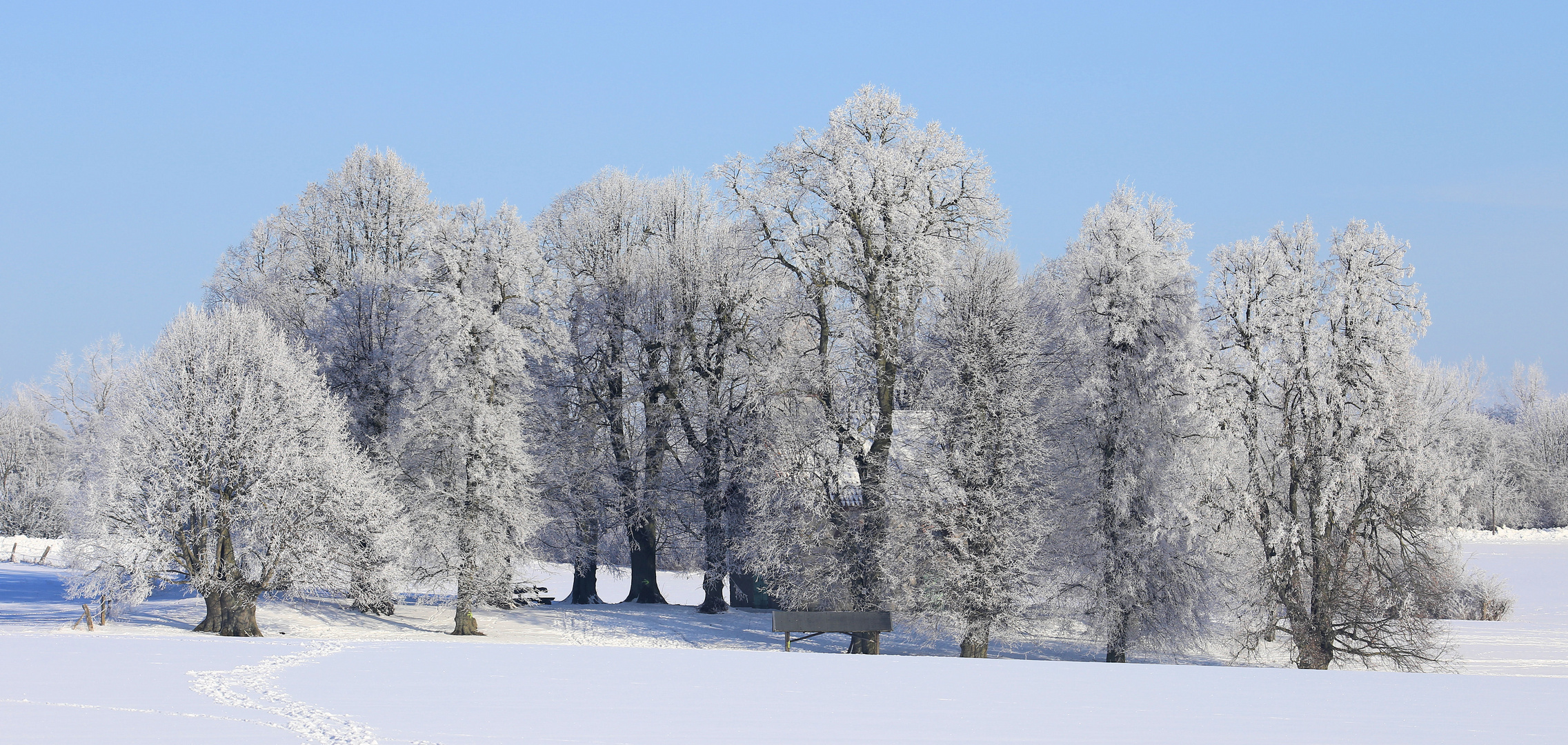 Werdigeshäuser Kirche in Eis und Schnee