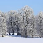 Werdigeshäuser Kirche in Eis und Schnee