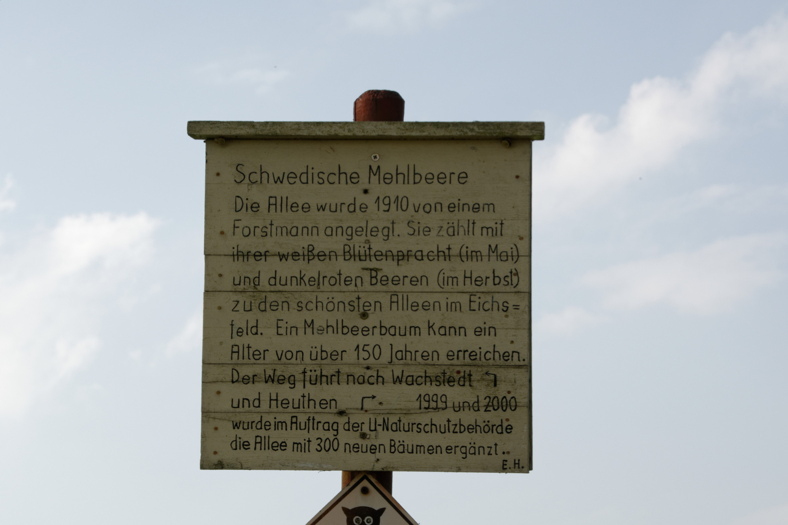 Werdigshäuser Mehlbeerbaumallee  - Infotafel zum Naturdenkmal