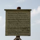 Werdigshäuser Mehlbeerbaumallee  - Infotafel zum Naturdenkmal