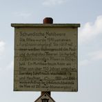 Werdigshäuser Mehlbeerbaumallee  - Infotafel zum Naturdenkmal