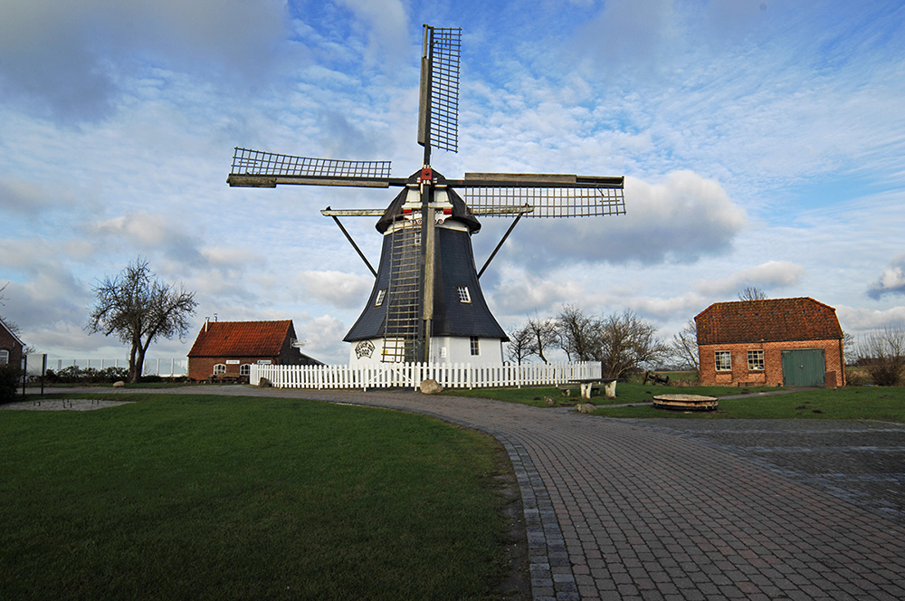 Werdumer Mühle (Erdholländer) auf der Mühlenwarf(t)