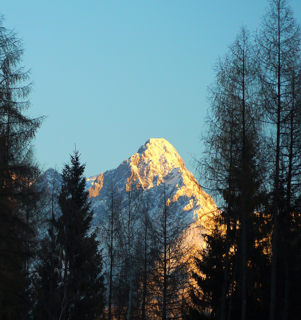 Werfener Hochthron ( 2.362 m )