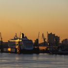 Werft und Elphi bei Sonnenaufgang