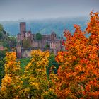 Werheimer Burg im Herbst