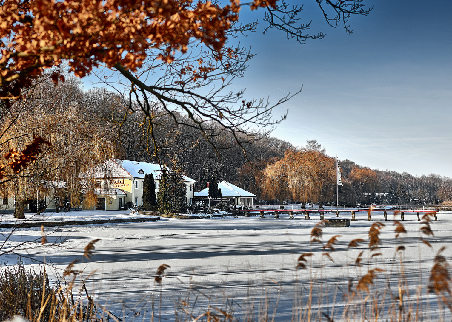 Wermsdorf  Horstsee  Winter