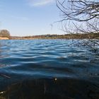 Wernauer See / Biotop 2