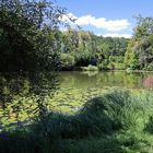 Wernauer Seen