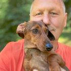 User Profile Photo