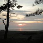 Wernerwald, Reitweg, Waldaustritt mit Blick aufs Wattenmeer