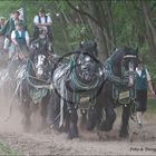 Wernesgrüner Traditionsgespann bei den "Titanen der Rennbahn 2011"