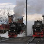 Wernigerode, auf zum Zug