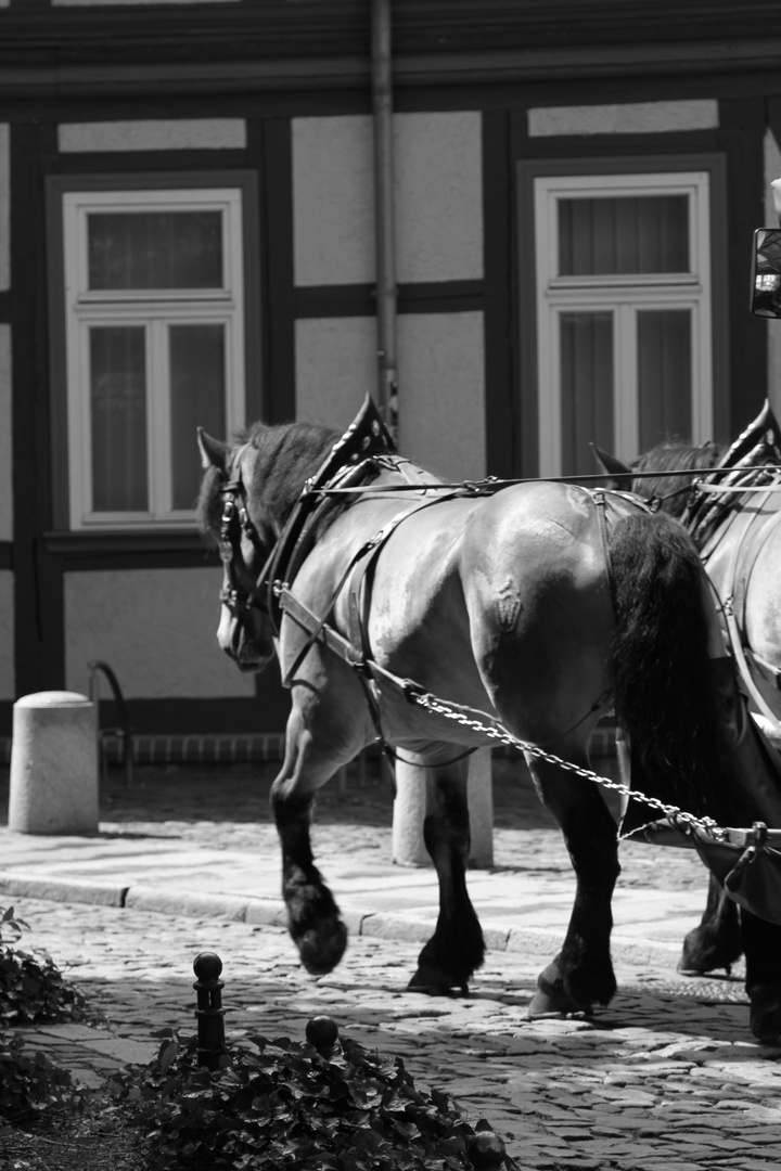 Wernigerode I