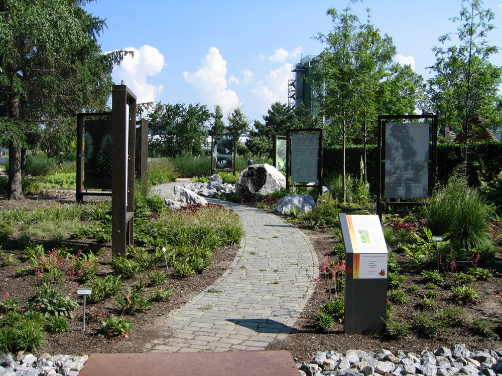 Wernigeröder Bürgerpark Nachlese 5 2007