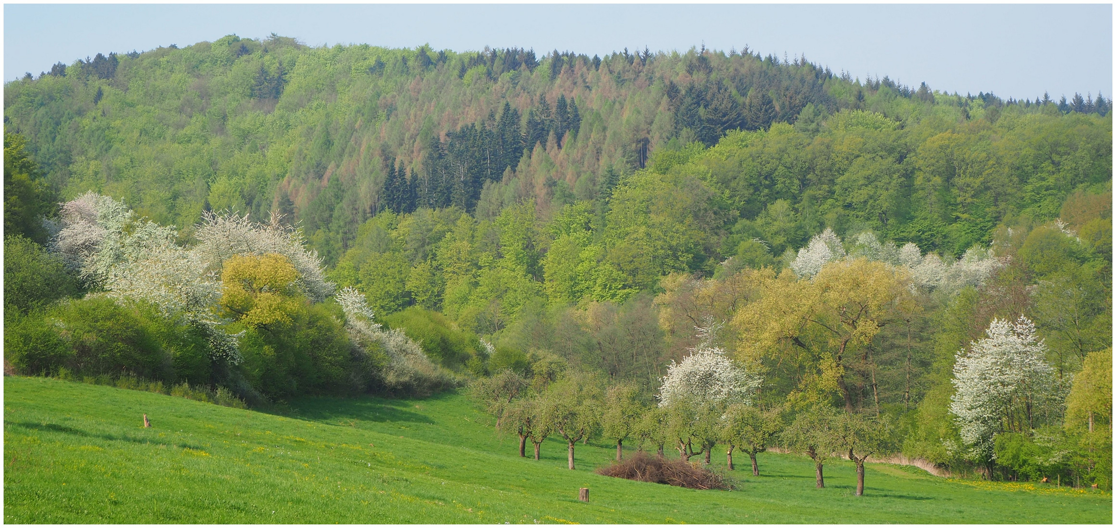 Werratal im Frühling (I)