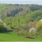 Werratal im Frühling (I)