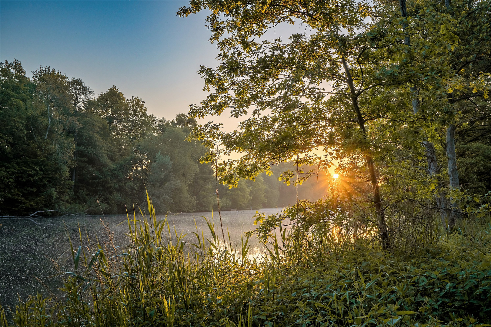 Werre Sonnenaufgang