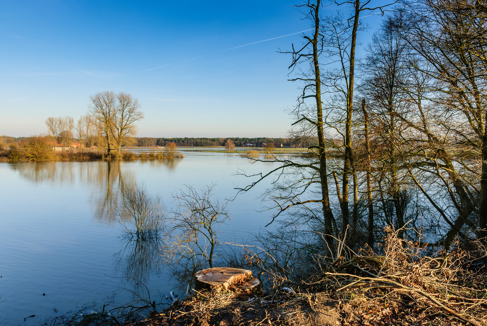 Werse Hochwasser 10.01.2011