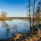 Werse Hochwasser 10.01.2011