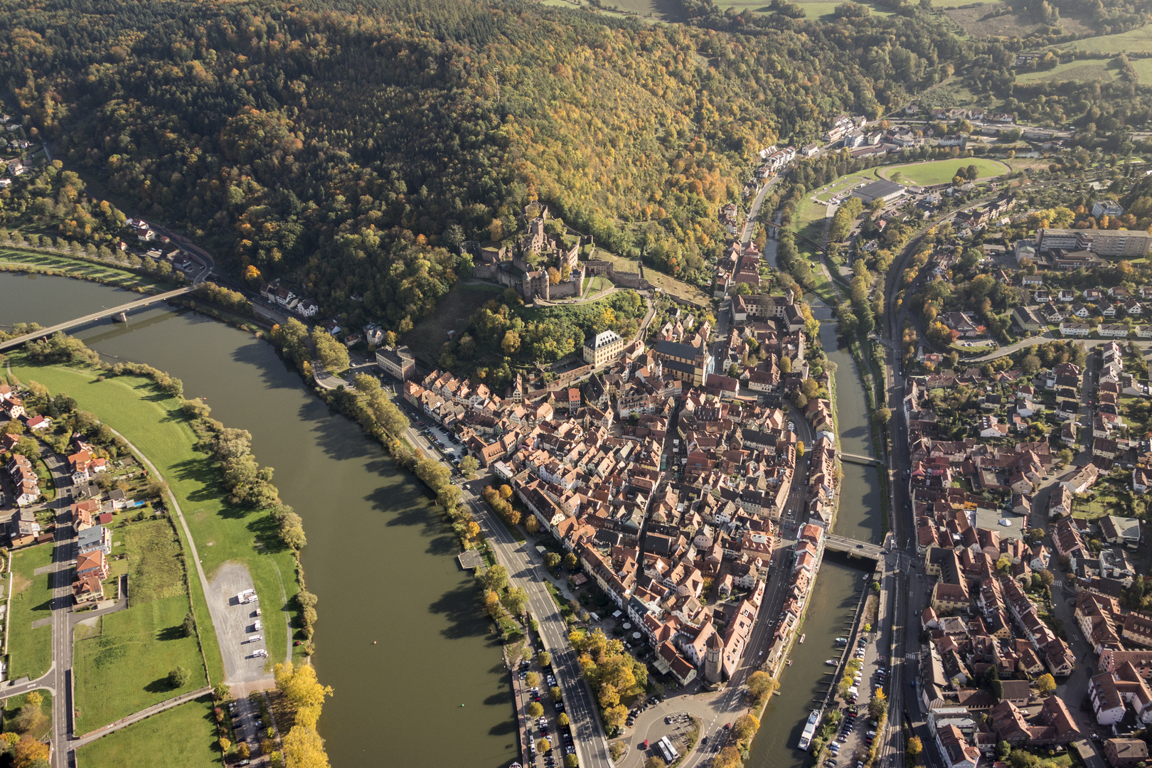 Wertheim Vogelflug