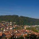 Wertheim von der Burg aus betrachtet