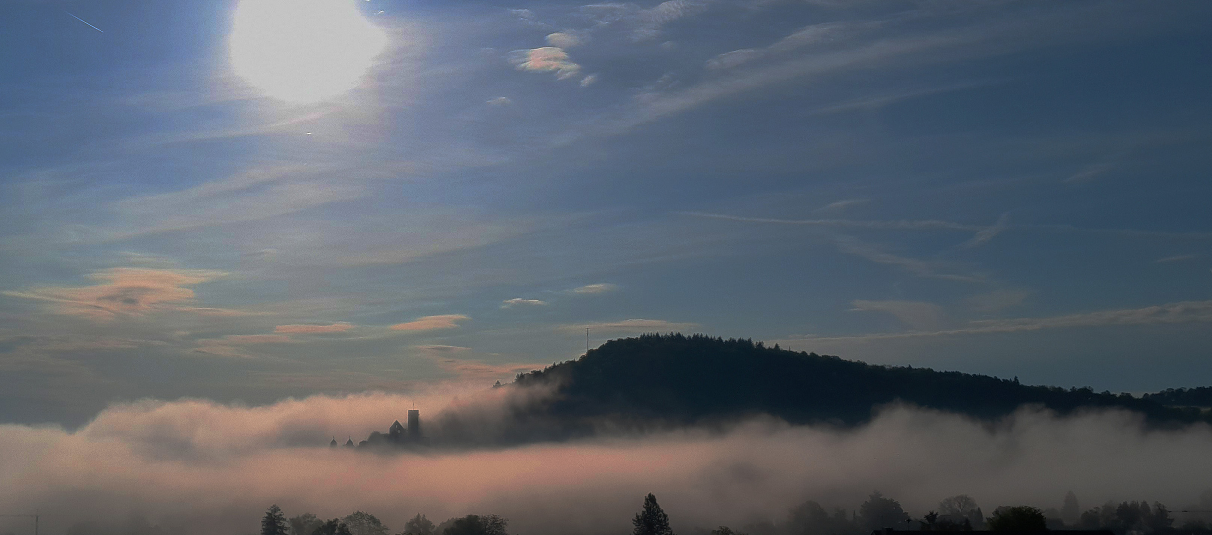 Wertheimer Burg im Nebel