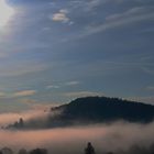 Wertheimer Burg im Nebel