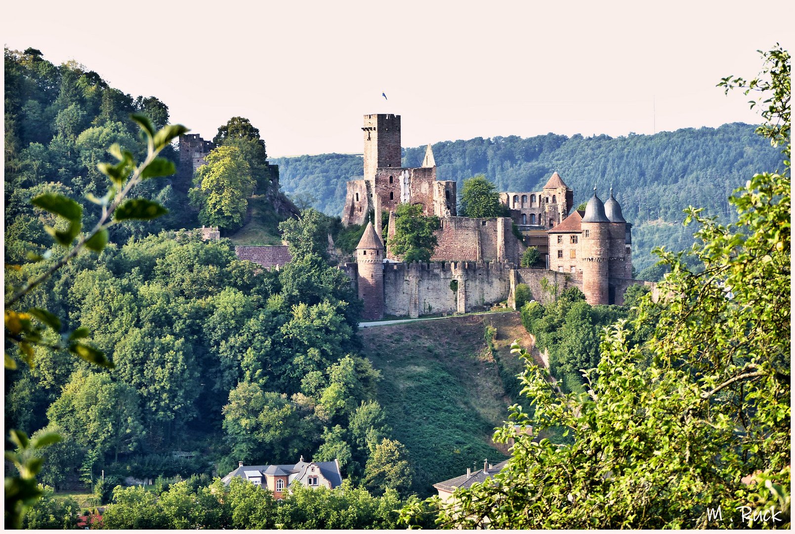 Wertheimer Burg im Sommer 