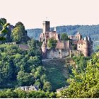 Wertheimer Burg im Sommer 